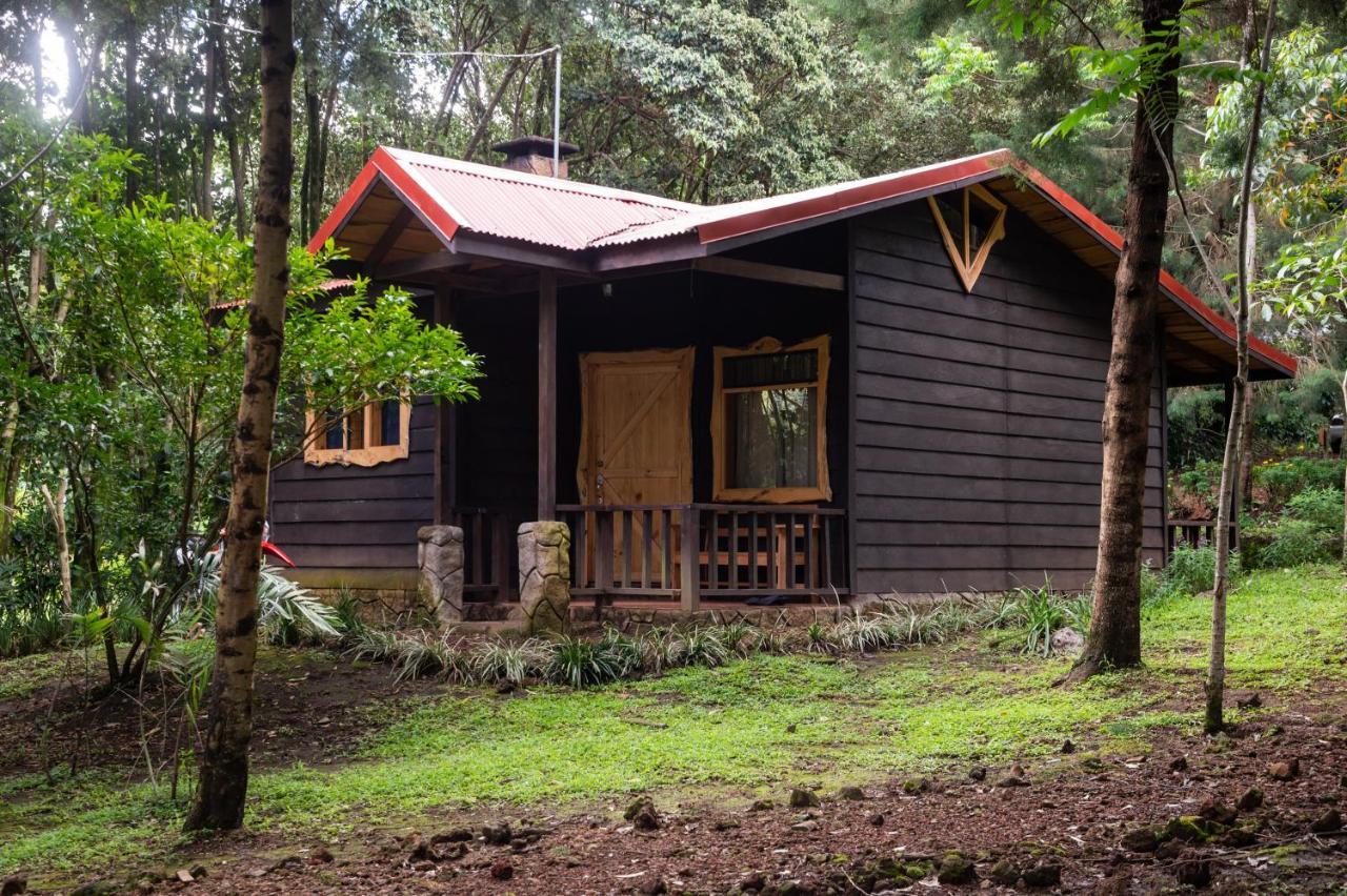 Chalet & Escondite De La Montana *